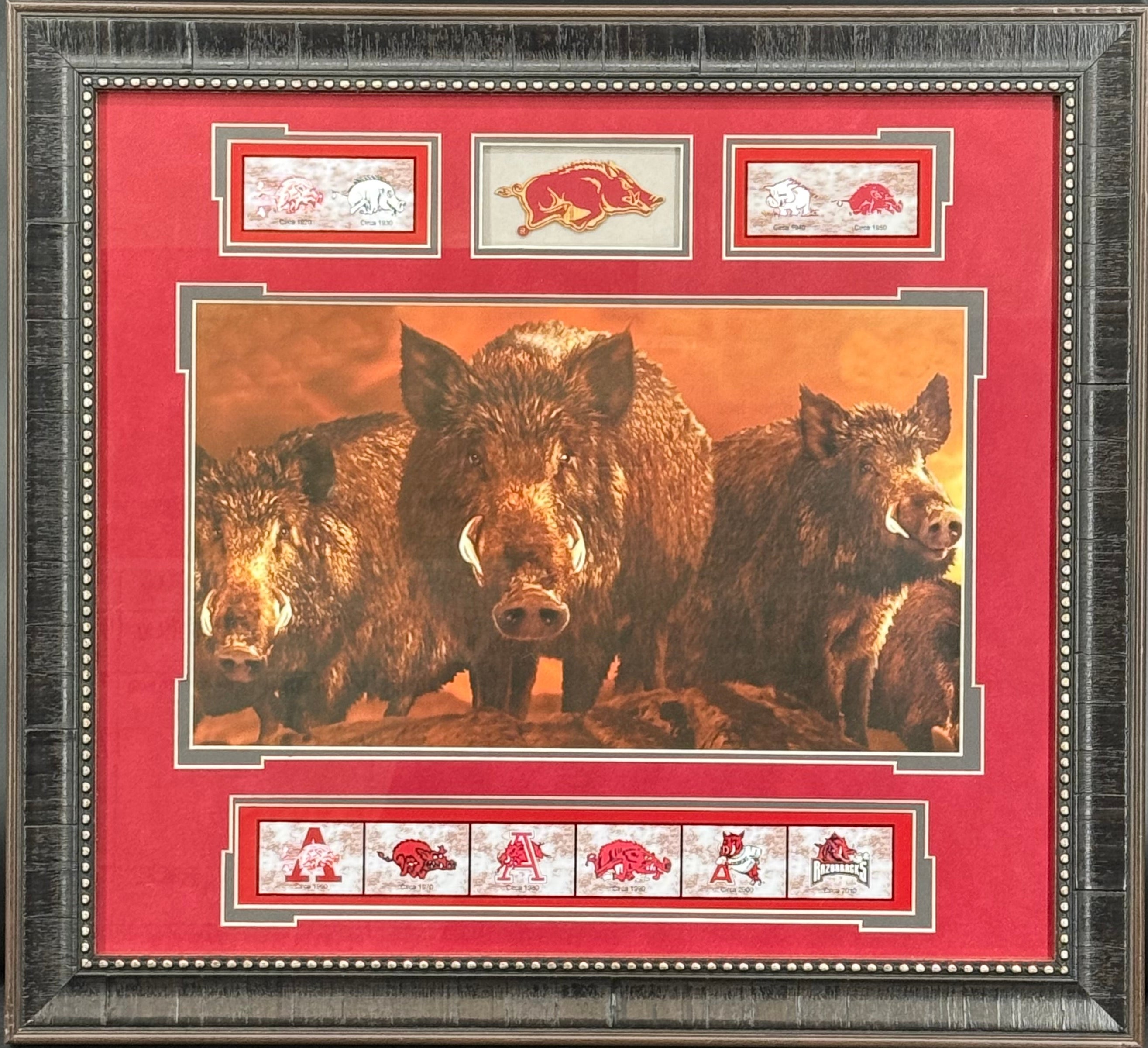 Arkansas Razorbacks Legacy Hog Artwork Framed Display