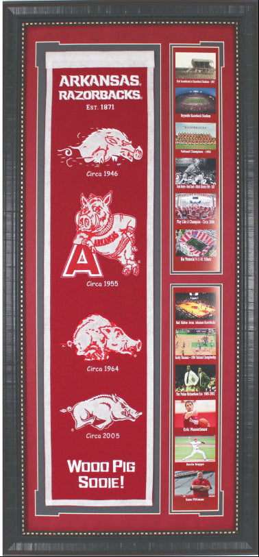 Razorback Banner