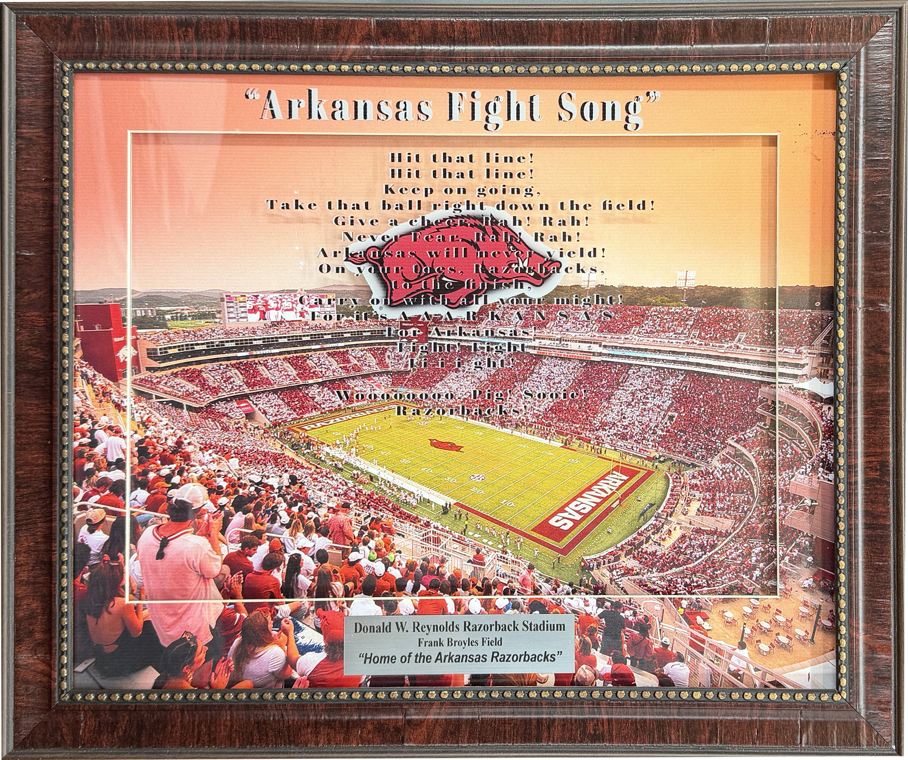 Razorback Fight Song 3D Collage