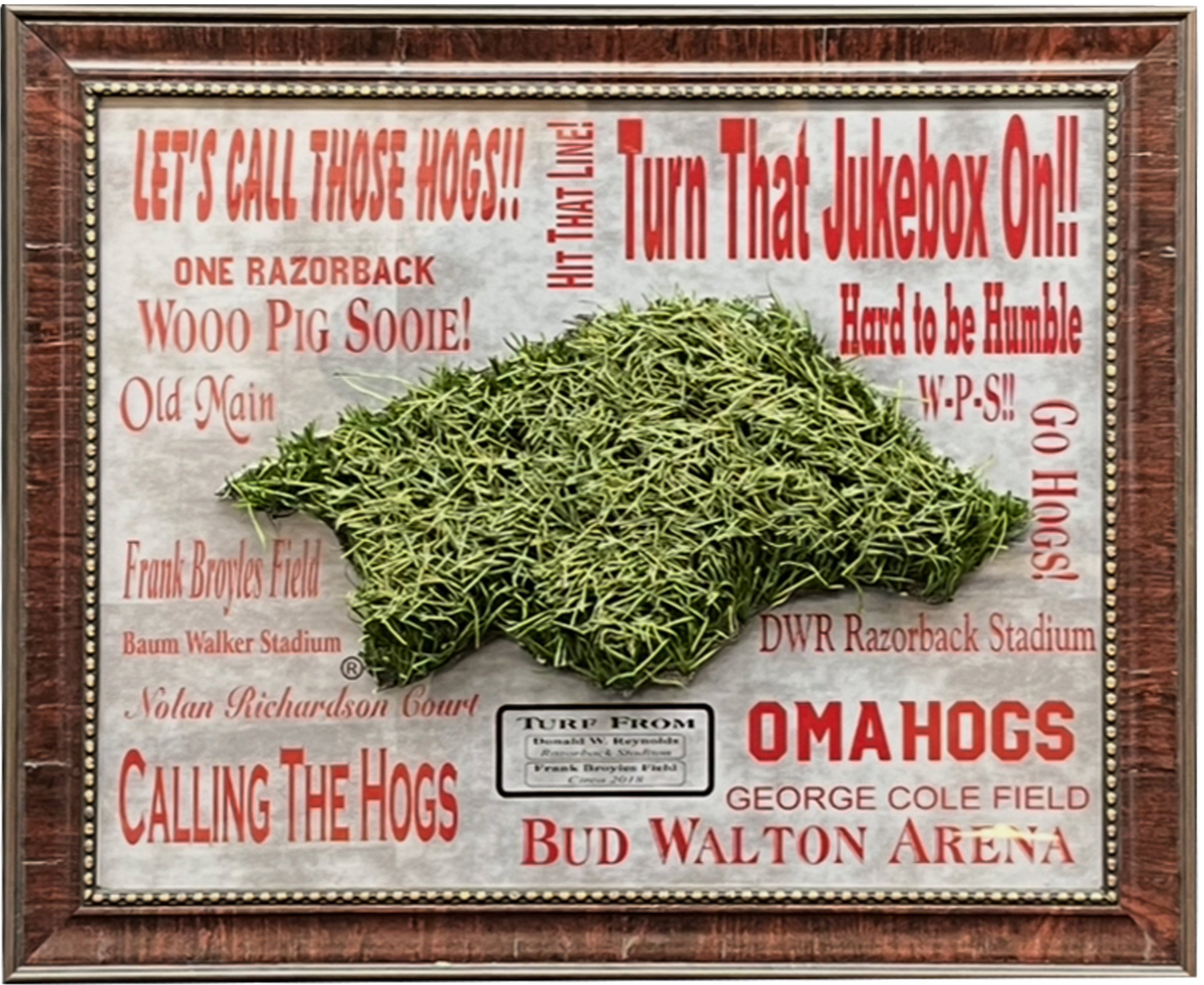 Razorback Turf Collage
